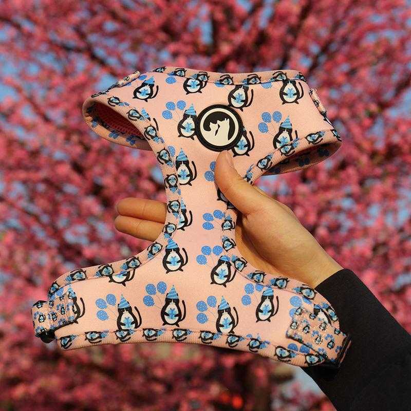 Dog Harness Neoprene No Pull Breathable Mesh Dog Harnesses With Padded Vest