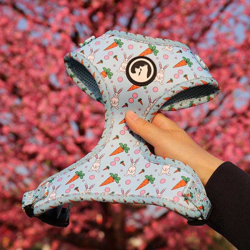 Floral Customized Pet Set Bandana Harness Poop Bag Fashion Heavy Duty Durable Personalized Luxury Dog Collars Leash Set