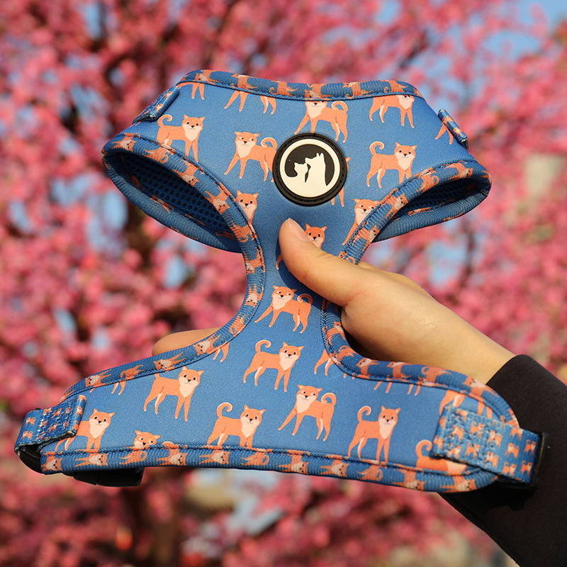 Floral Customized Pet Set Bandana Harness Poop Bag Fashion Heavy Duty Durable Personalized Luxury Dog Collars Leash Set