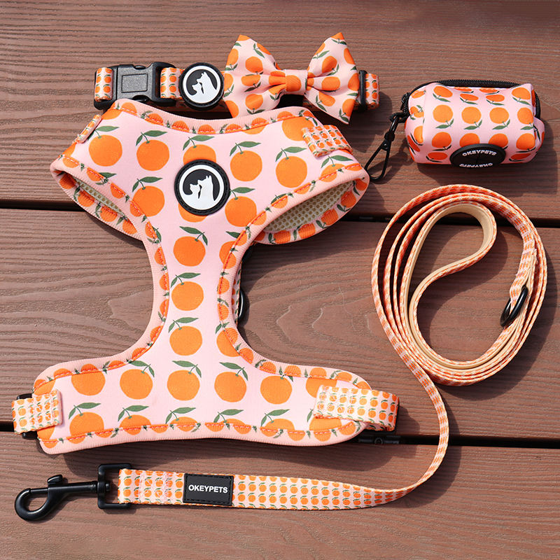 High Quality Polyester Printed Colorful Custom Comfortable Cat Dog Harness And Leash For Pets