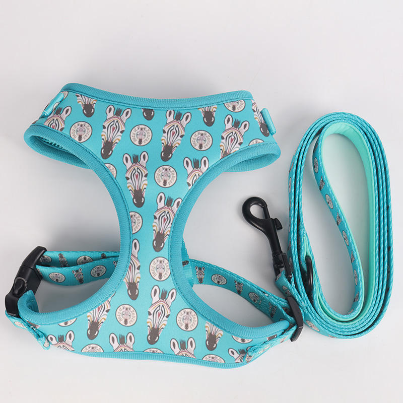 Comfort Breathable Soft Neoprene Pet Harness Custom Dog Collar Leash And Harness Set