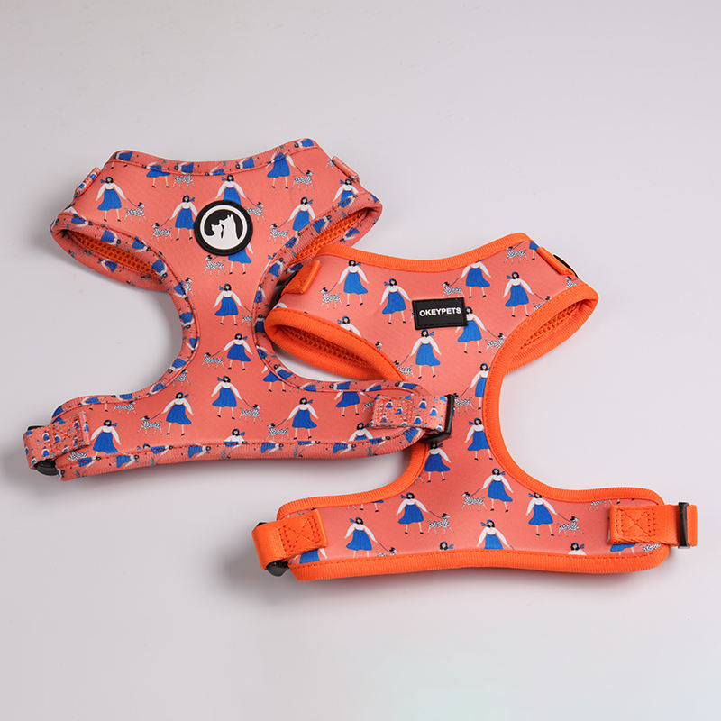 Pet Accessories Oem/odm Luxury Print Colourful Polyester Neoprene Soft Padded Sublimation Dog Harness Set