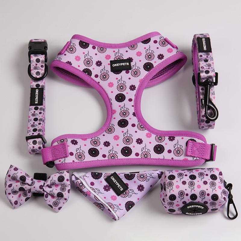 Pet Accessories Oem/odm Luxury Print Colourful Polyester Neoprene Soft Padded Sublimation Dog Harness Set