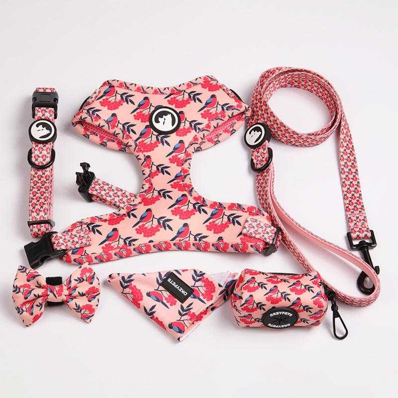 Pet Accessories Oem/odm Luxury Print Colourful Polyester Neoprene Soft Padded Sublimation Dog Harness Set