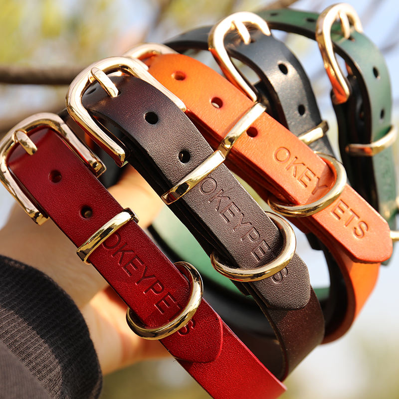Fashion Luxury Leather Cat Dog Pet Collars For Pets,High Quality Designer Training Collar And Leash Set