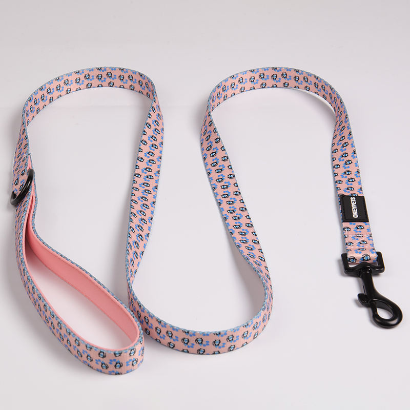 Personalised Designer Eco Friendly Luxury Dog Leash Collar Dog Harness Set