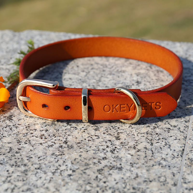 Fashion Personalized Design Best Leather Medium Pet Puppy Dog Safety Neck Collar With Custom Embossed Logo