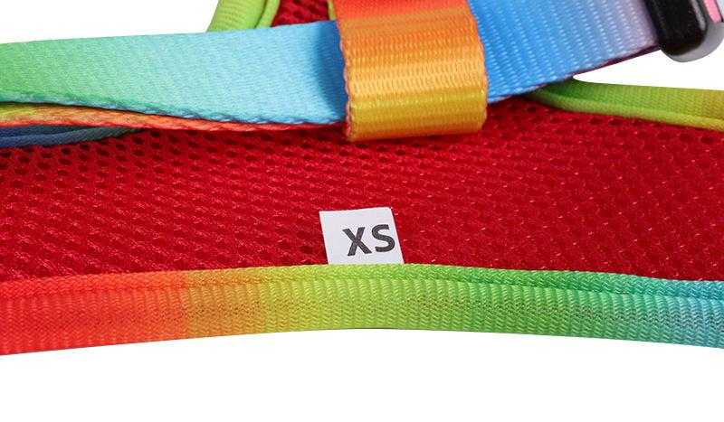 Rainbow Pattern Custom Logo Neoprene Padded Puppy Small Dog Harness Leash Collar Set