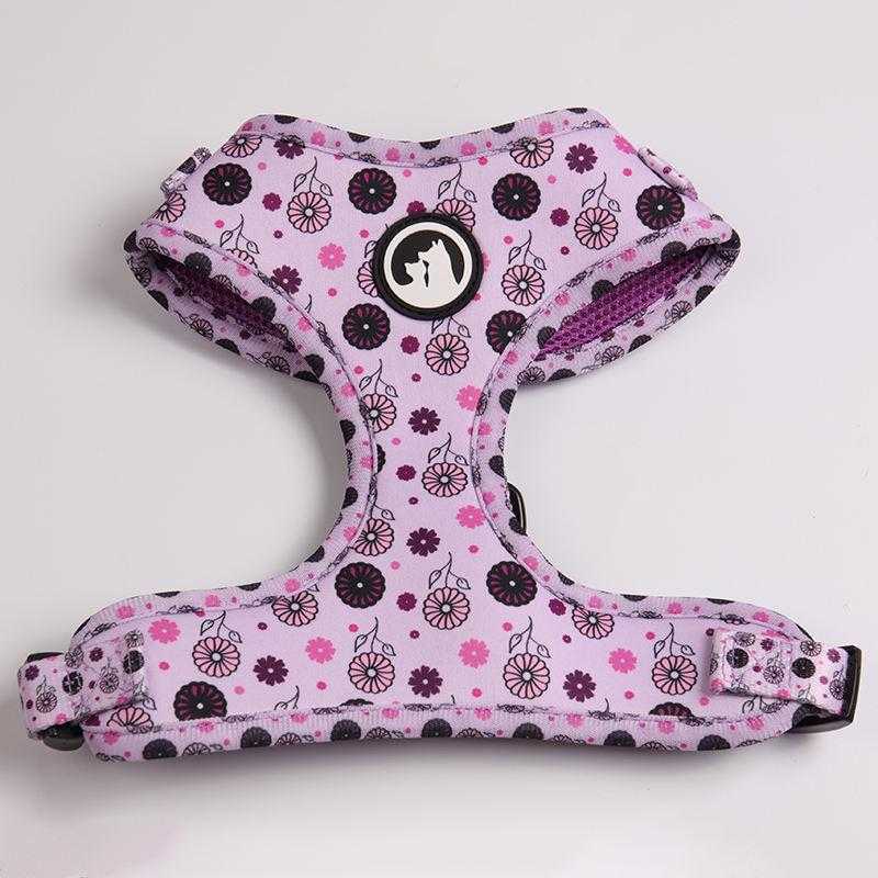 Rainbow Pattern Custom Logo Neoprene Padded Puppy Small Dog Harness Leash Collar Set