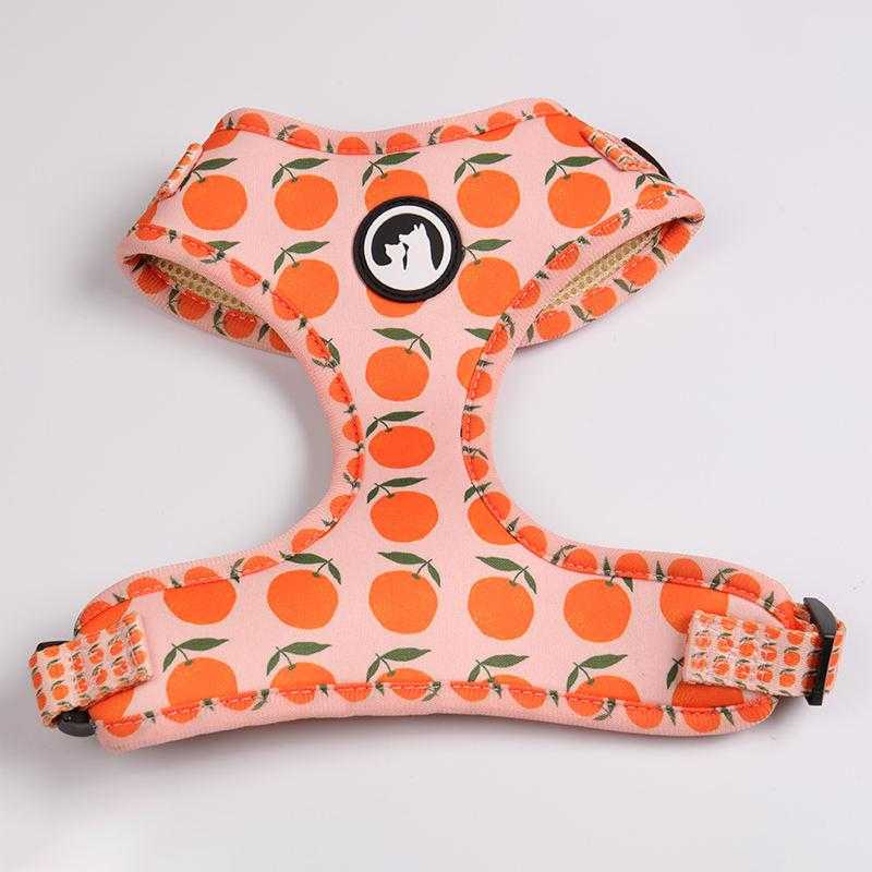 Rainbow Pattern Custom Logo Neoprene Padded Puppy Small Dog Harness Leash Collar Set