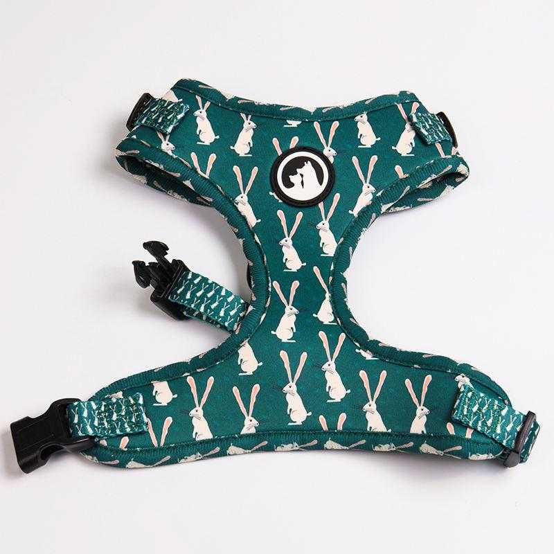 Rainbow Pattern Custom Logo Neoprene Padded Puppy Small Dog Harness Leash Collar Set