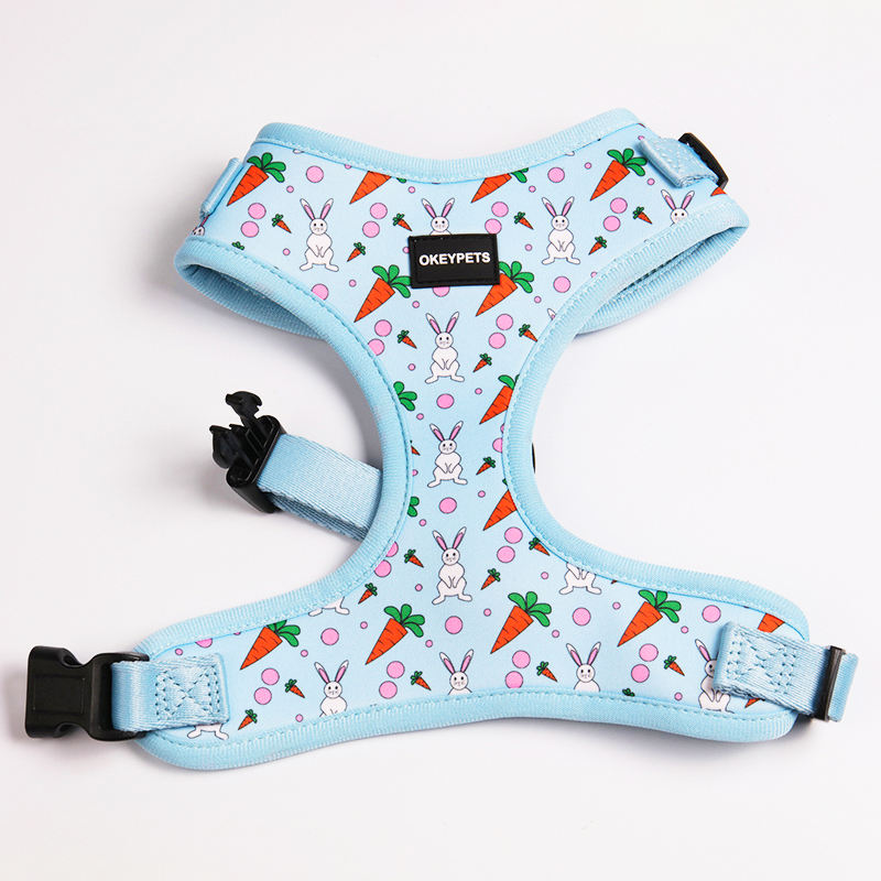 Rainbow Pattern Custom Logo Neoprene Padded Puppy Small Dog Harness Leash Collar Set