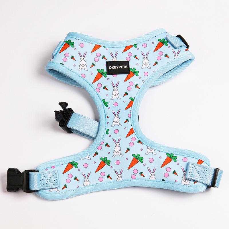 Rainbow Pattern Custom Logo Neoprene Padded Puppy Small Dog Harness Leash Collar Set