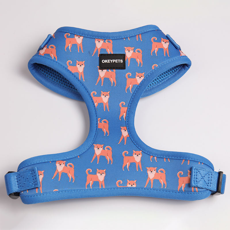 Rainbow Pattern Custom Logo Neoprene Padded Puppy Small Dog Harness Leash Collar Set