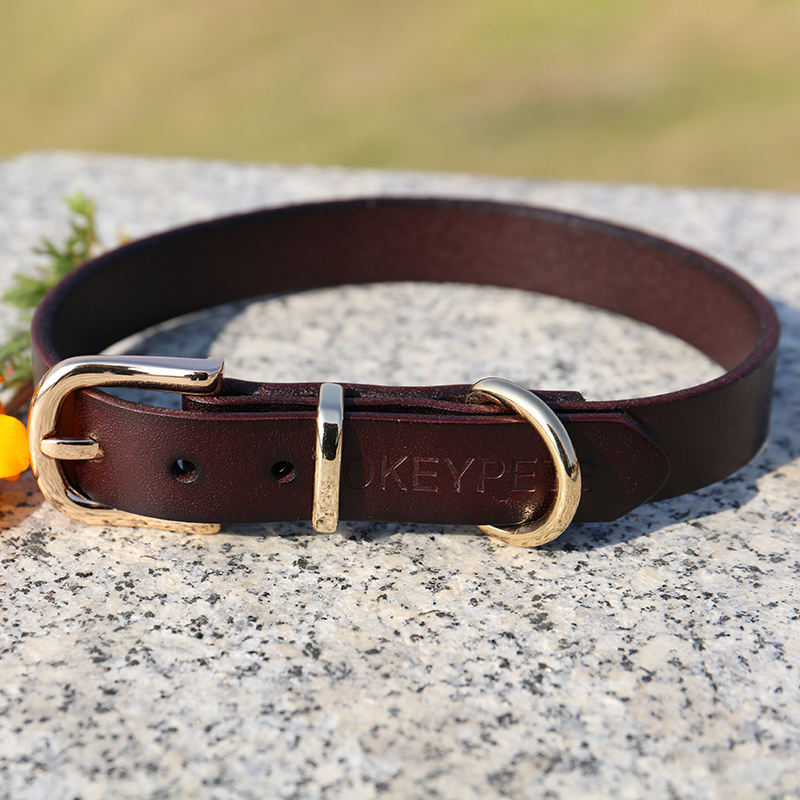 New Arrival Custom Colorful Extendable Embossed Logo Genuine Pet Dog Leather Collar