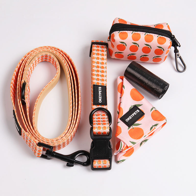 Custom Pattern Luxury Printed Mesh Reversible Collar Leash Bandana Dog Harness Set