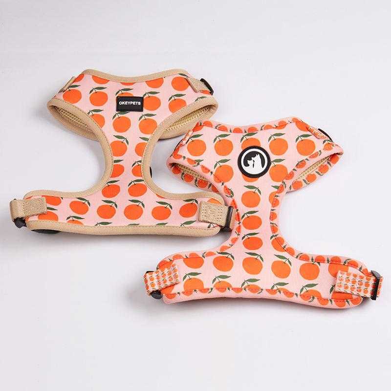 Custom Pattern Luxury Printed Mesh Reversible Collar Leash Bandana Dog Harness Set