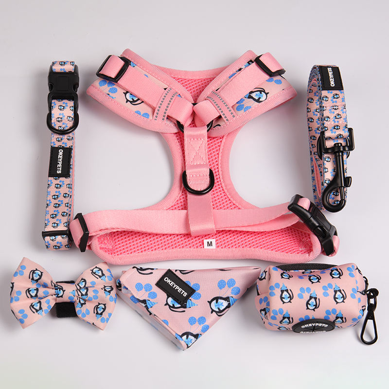 Custom Logo Sublimation Reflective Reversible Luxury Pet Dog Vest Collars Harness And Leash With Bow Tie Bandana