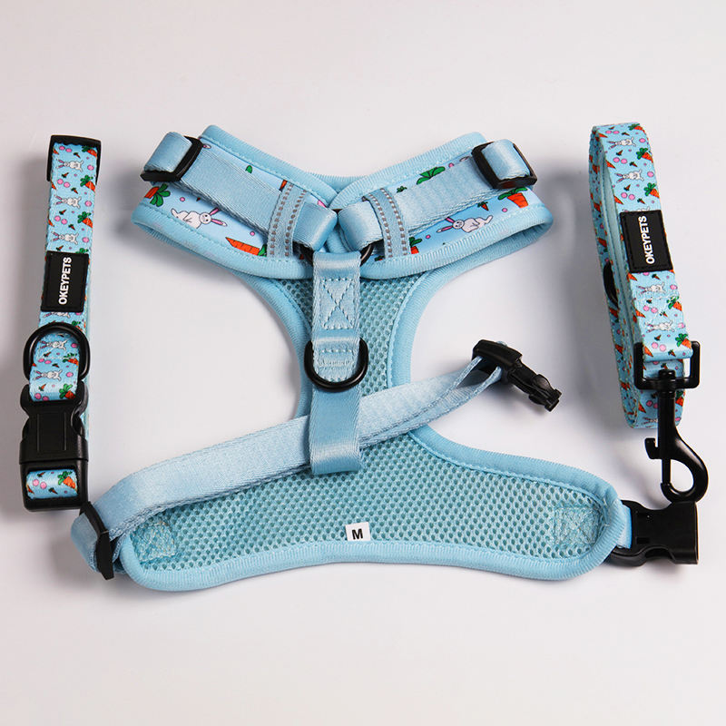 Outdoor Pet Walking Backpack Harness Breathable Mesh Dog Harness I Shape Pet Harness&leashes
