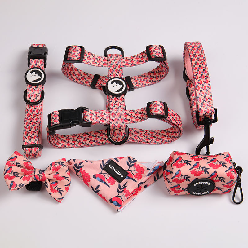 Luxury Custom Lightweight & Comfortable Polyester No-pull Durable Dog Harness Leash Collar Set