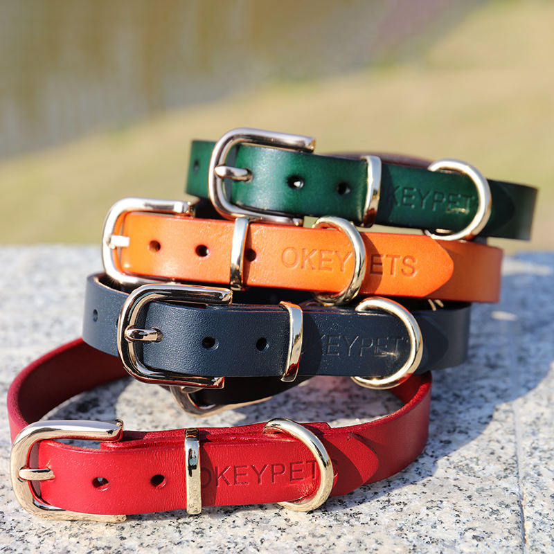 Bulk Wholesale Logo Puppy Neoprene Smart Puppy Collar For Dog,Outdoor Dog Leash With Poop Bag