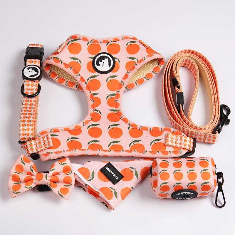 New Arrival Designer Adjustable Heavy Duty Dog Walking Safety Soft Fancy Printing Dog Harness Set