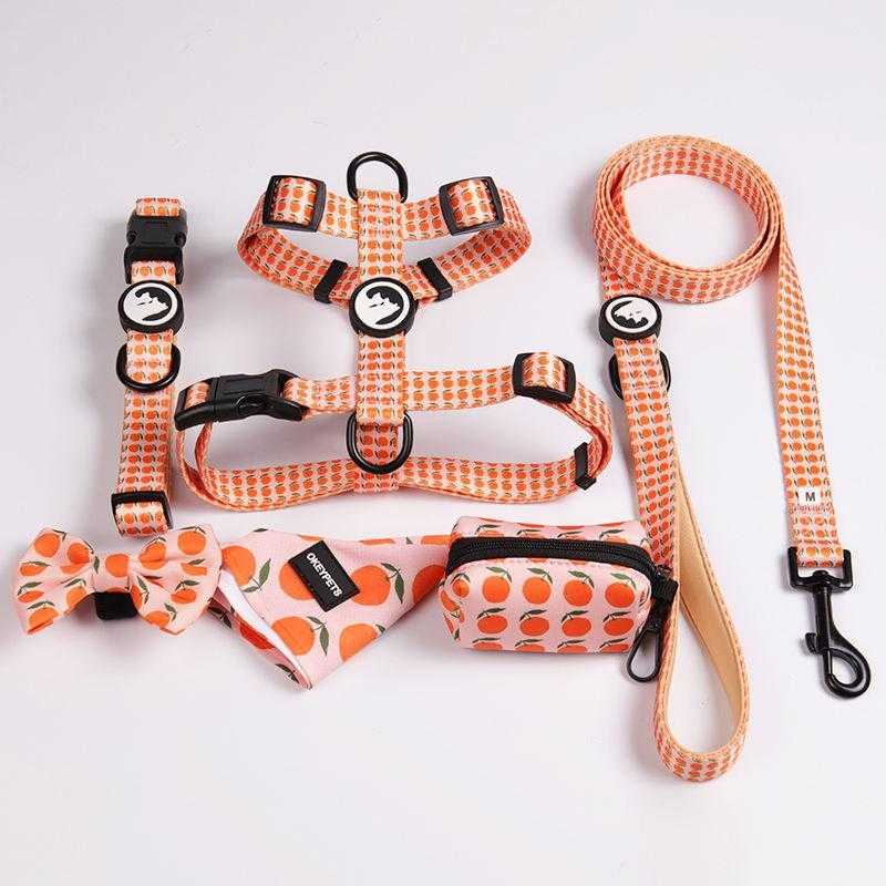 New Arrival Designer Adjustable Heavy Duty Dog Walking Safety Soft Fancy Printing Dog Harness Set