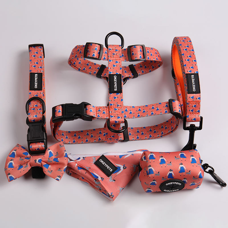 New Arrival Designer Adjustable Heavy Duty Dog Walking Safety Soft Fancy Printing Dog Harness Set