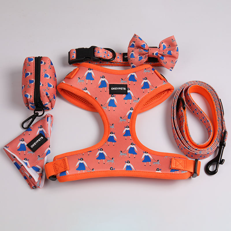 Custom Dog Harness Neoprene Comfortable Personalized Luxury Pet Harness Set With Collar Leash
