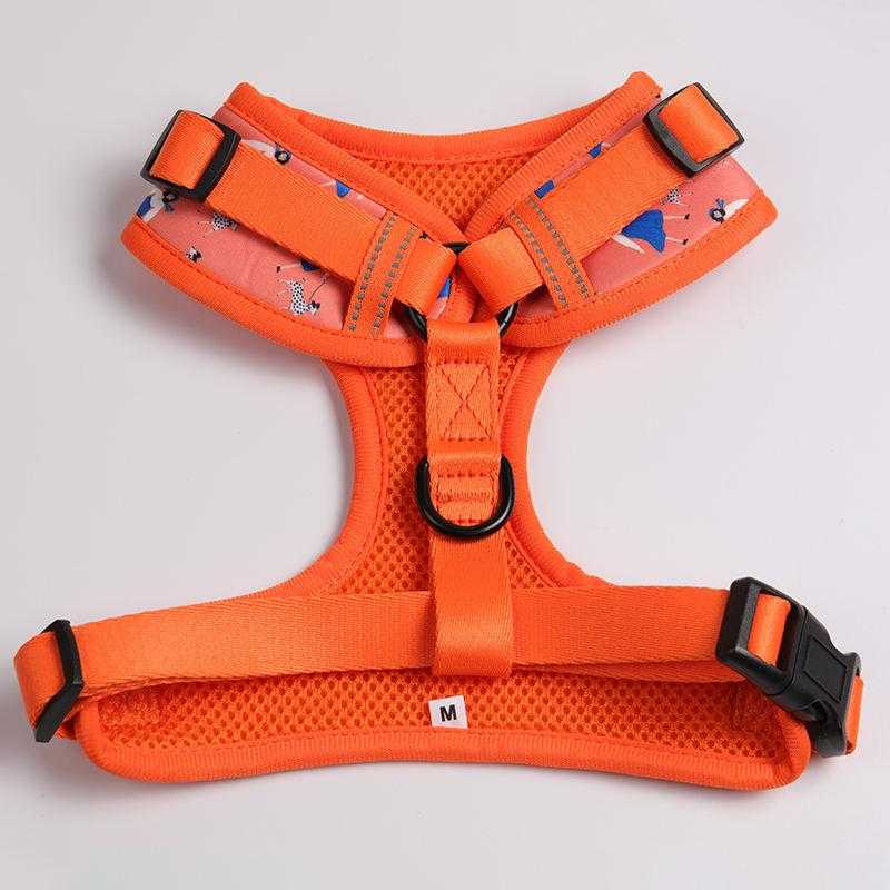 Custom Dog Harness Neoprene Comfortable Personalized Luxury Pet Harness Set With Collar Leash