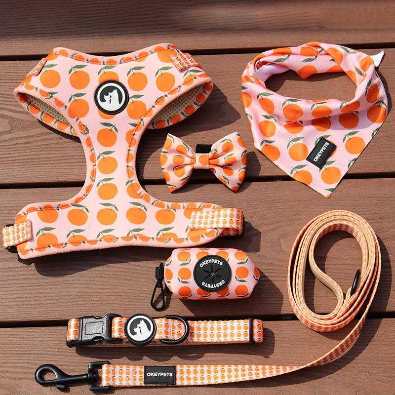 Custom Dog Harness Neoprene Comfortable Personalized Luxury Pet Harness Set With Collar Leash