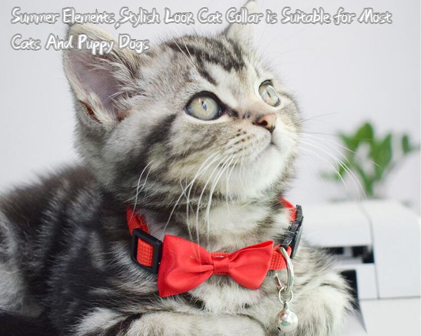 Custom Classic Cheap Polyester Best New Colors Breakaway Bell Manufacturer Adjustable Cat Dog Collar Pet Collars