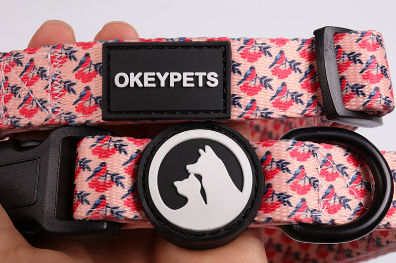 Hot Sale Soft Neoprene Padded Heat Transfer Printing Customized Adjustable Buckle Pet Dog Collar
