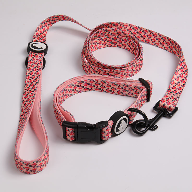 Fashion Multi Design Pet Dog Adjustable Name Collar Custom Size Neoprene Padded Holiday Dog Collar