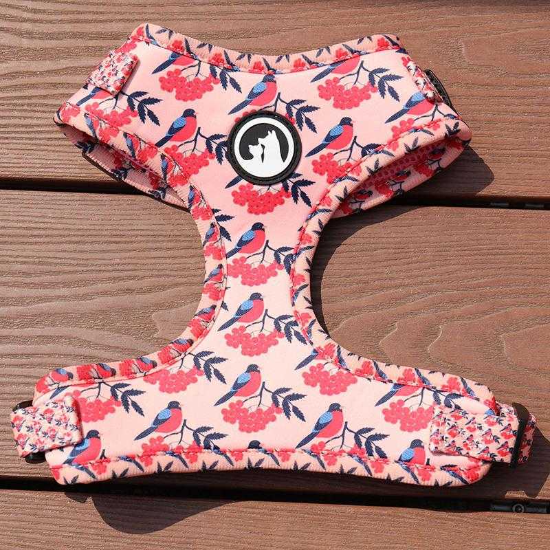 Polyester Dog Harness Custom Pattern Cute Dog Leash And Harness With Sublimation Blanks Logo