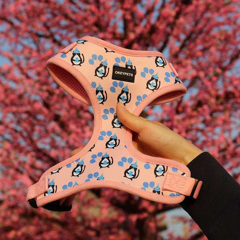 Custom Print Outdoor Training Adjustable Soft Dog Chest Strap Polyester Chien Dog Harness Pet