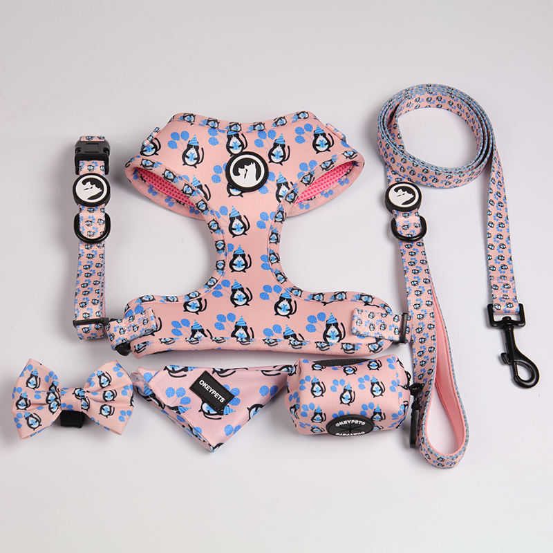 Oem & Odm Dog Accessories Dog Leash Collar Neoprene Comfortable Breathable Sublimation Dog Harness Set