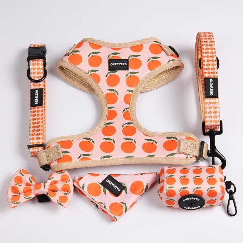 Oem & Odm Dog Accessories Dog Leash Collar Neoprene Comfortable Breathable Sublimation Dog Harness Set
