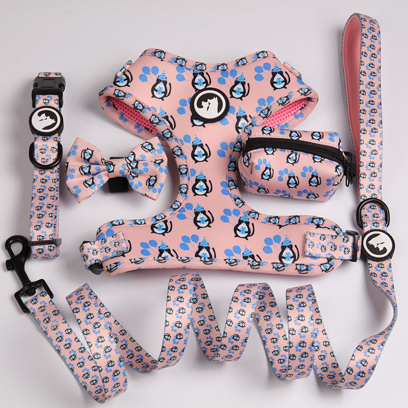 Oem & Odm Dog Accessories Dog Leash Collar Neoprene Comfortable Breathable Sublimation Dog Harness Set
