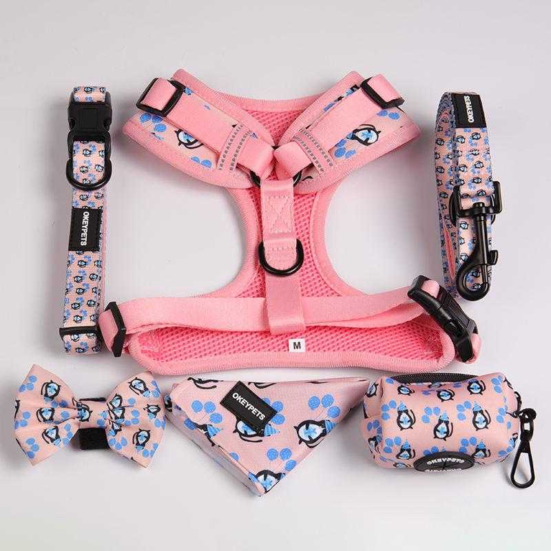 Oem & Odm Dog Accessories Dog Leash Collar Neoprene Comfortable Breathable Sublimation Dog Harness Set