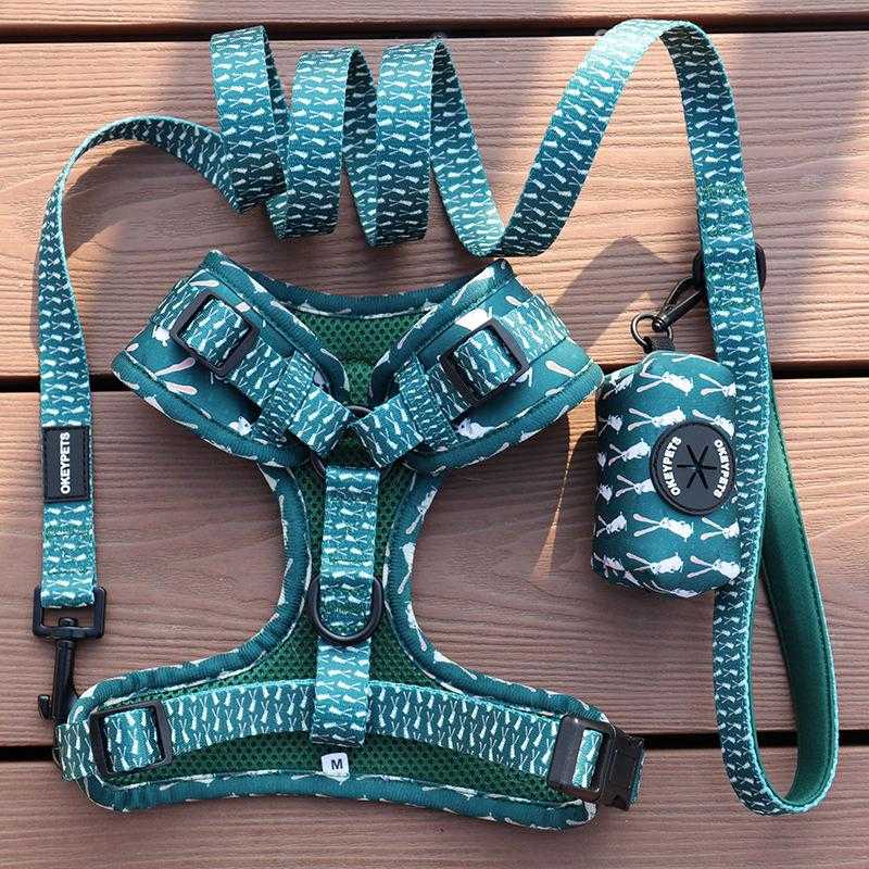 Most Popular Designer Dog Collar Adjustable Lightweight Personalized Dog Harnesses Set With Leash