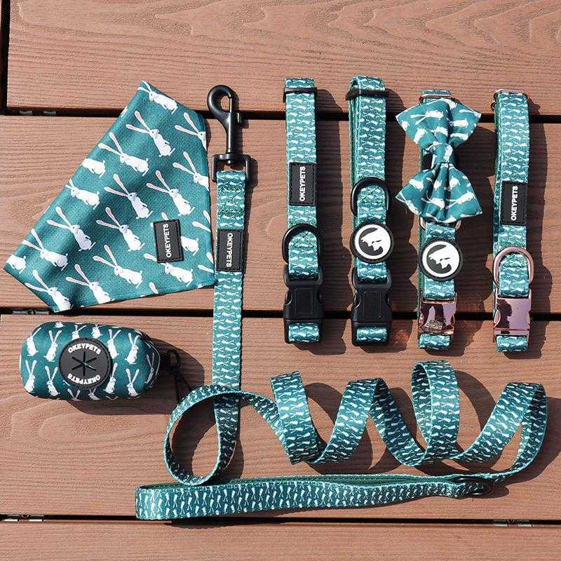 Most Popular Designer Dog Collar Adjustable Lightweight Personalized Dog Harnesses Set With Leash