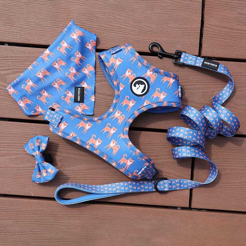 Most Popular Designer Dog Collar Adjustable Lightweight Personalized Dog Harnesses Set With Leash