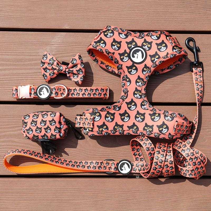 Most Popular Designer Dog Collar Adjustable Lightweight Personalized Dog Harnesses Set With Leash