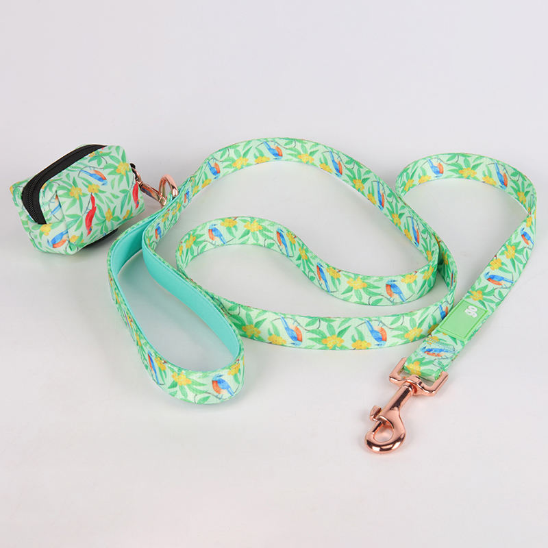 Cheap Personalized Luxury Durable Sublimation Adjustable Dog Accessories Leash With Poop Bag