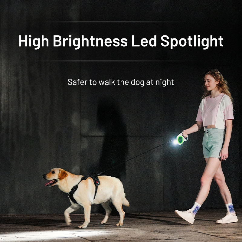 Hot Selling Multi-color Adjustable Training Flashlight Led Light Up Retractable Dog Leash With Waste Bag Dispenser