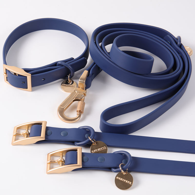 Eco Friendly High Quality Pvc Webbing Dog Collar Leash Set With Custom Logo Many Color