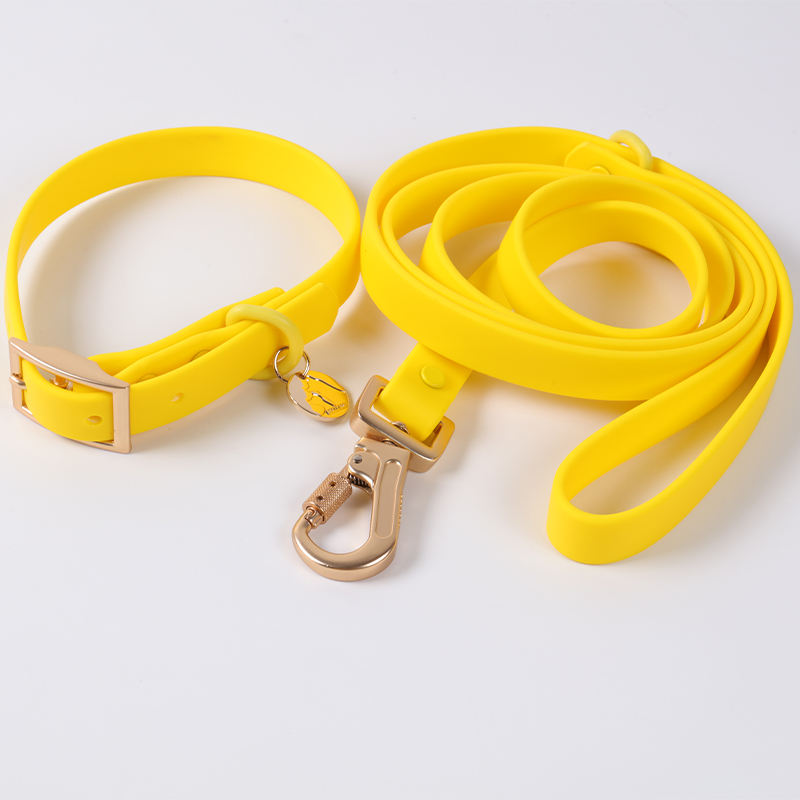 Earth Friendly Colorful Adjustable Pvc Dog Collar Long Belt Leash Manufacturers For Small Dogs