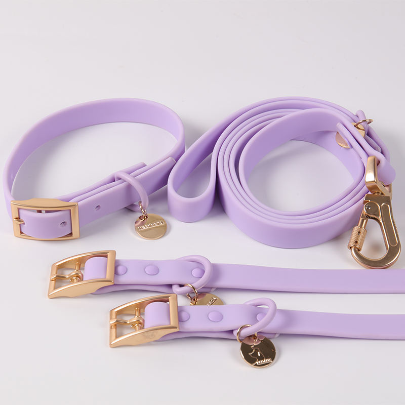 New Style Pvc Coated Waterproof Blank Pink Designer Luxury Pet Dog Adjustable Collar And Leash Set