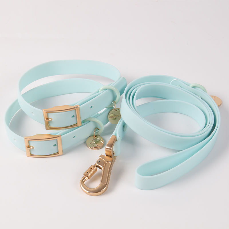 Fashion Customised Solid Colour Waterproof Webbing Collar Soft Pvc Coated Dog Collar And Leash Set